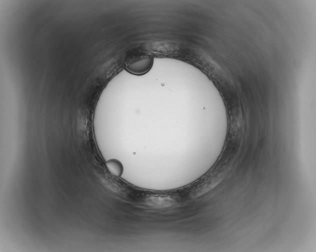 X0000112210749200908281459
