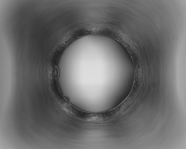 X0000112210750200908281459