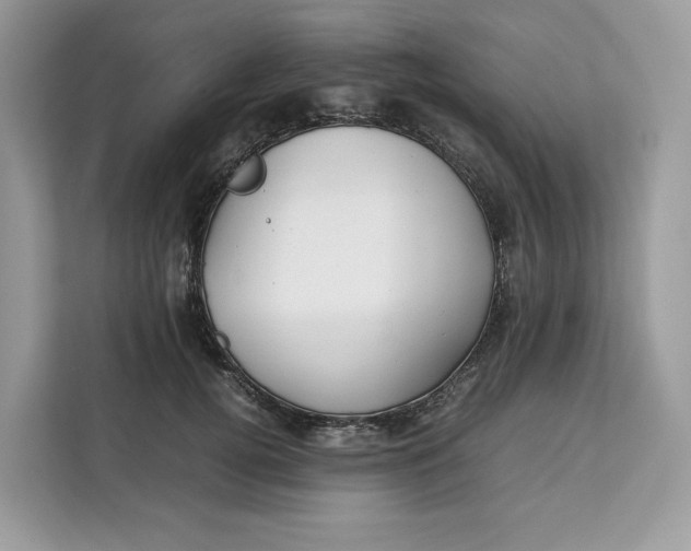 X0000112210752200908281459