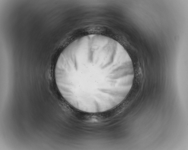 X0000112210755200908281459