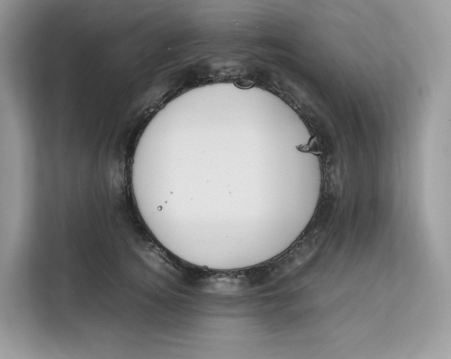 X0000112210756200908281459