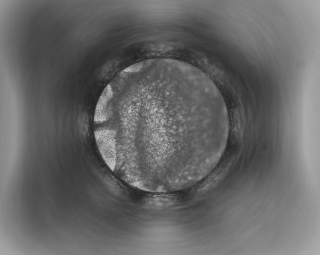 X0000112210758200908281459