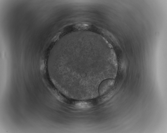 X0000112210759200908281459