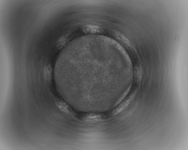 X0000112210760200908281500
