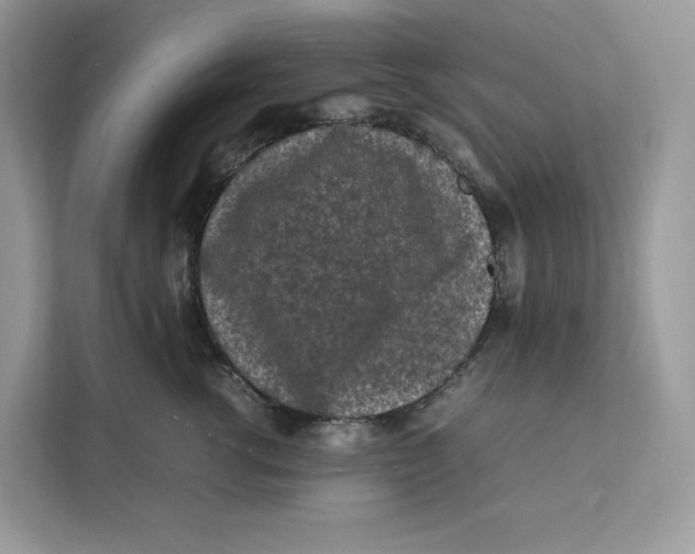 X0000112210762200908281500