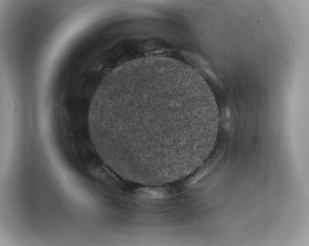 X0000112210763200908281500