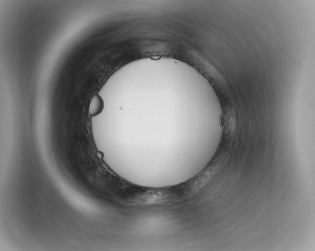 X0000112210764200908281500