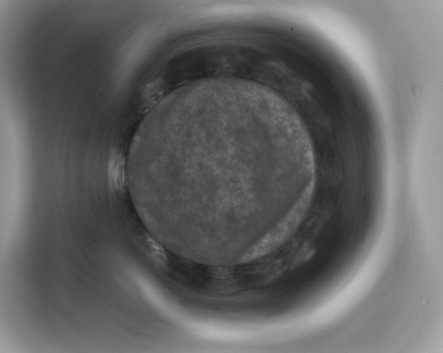 X0000112210766200908281500