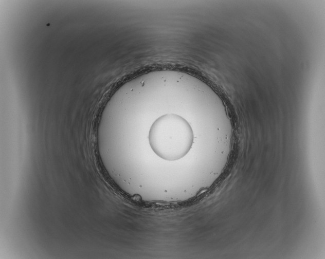 X0000112210769200908281459