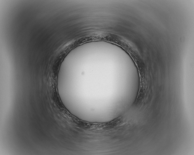 X0000112210773200908281459