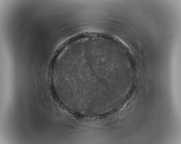X0000112210775200908281459