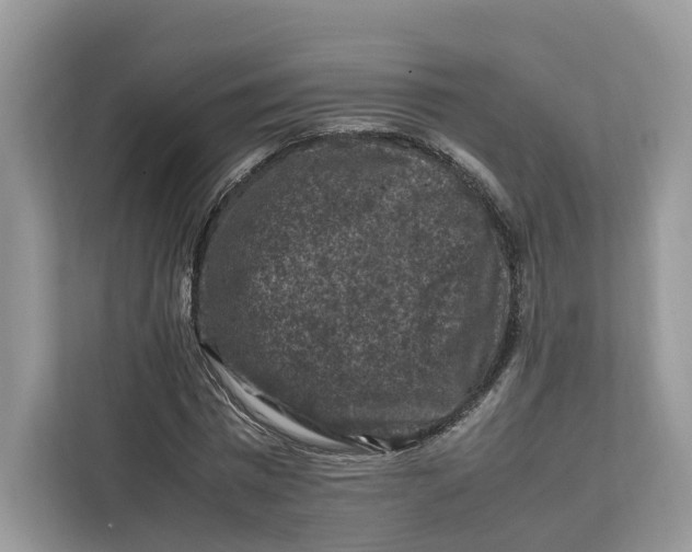 X0000112210777200908281459
