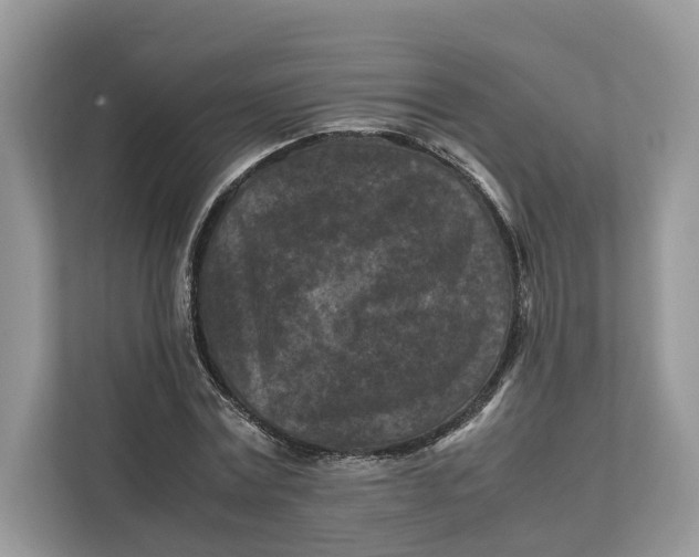 X0000112210779200908281459