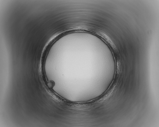 X0000112210780200908281459