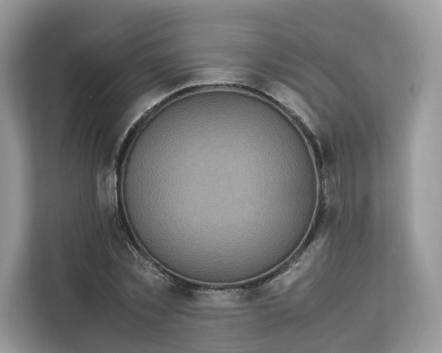 X0000112210781200908281459