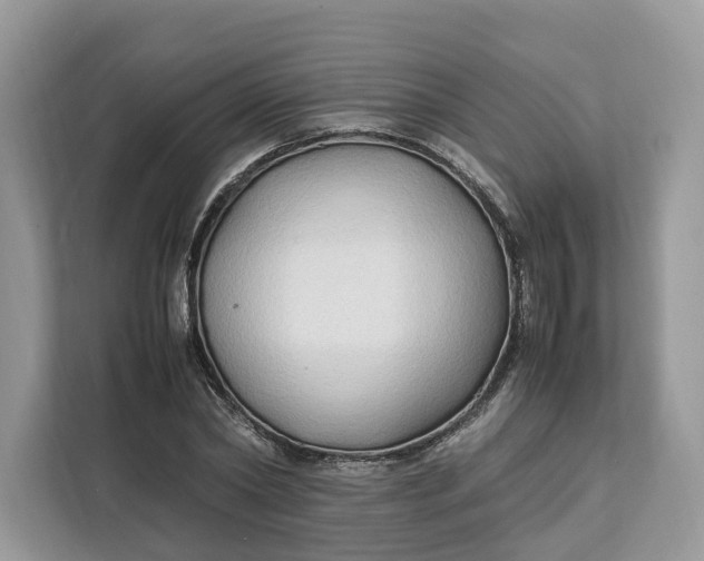 X0000112210782200908281459