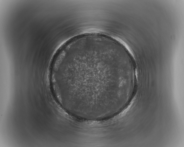 X0000112210783200908281459