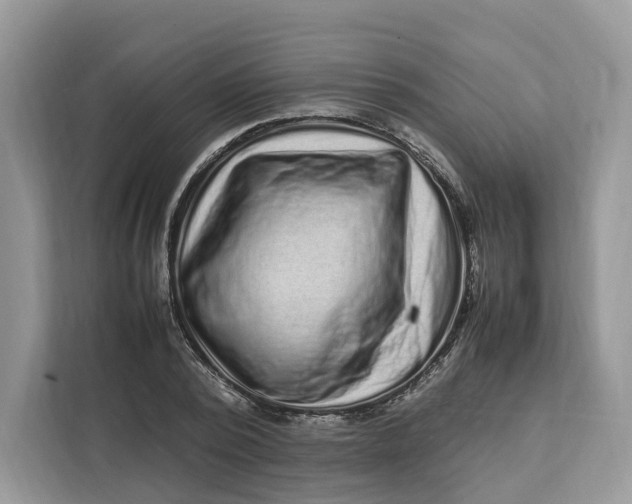 X0000112210784200908281459