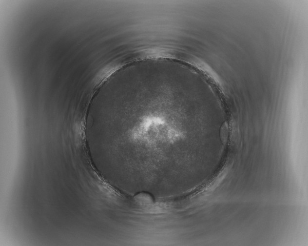 X0000112210785200908281459