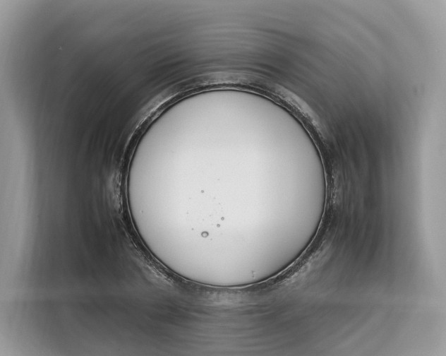 X0000112210786200908281459