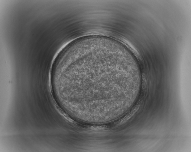 X0000112210788200908281459