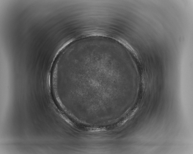 X0000112210790200908281459