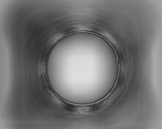X0000112210793200908281459