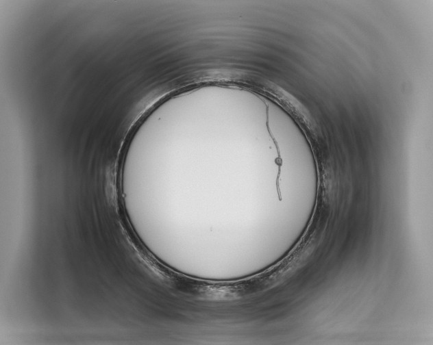 X0000112210794200908281459