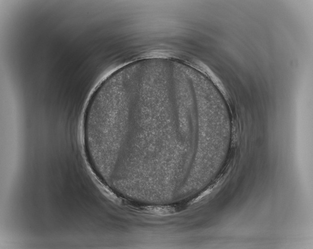 X0000112210795200908281459