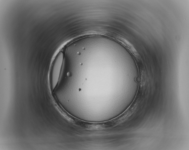 X0000112210796200908281459