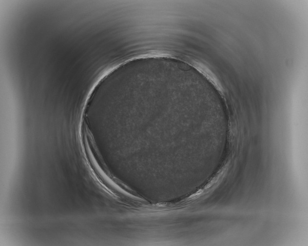 X0000112210797200908281459