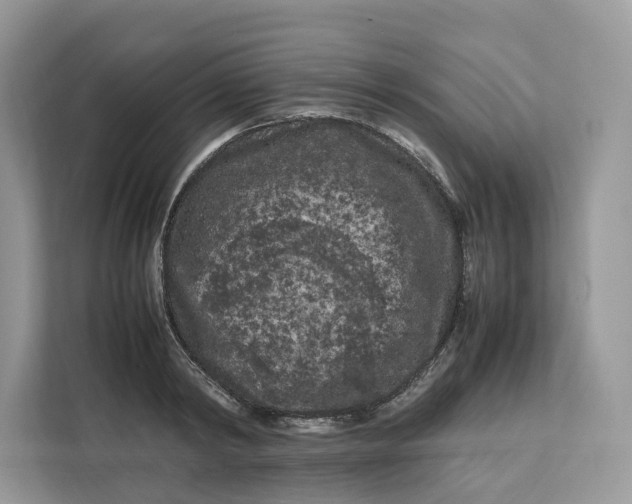 X0000112210798200908281459