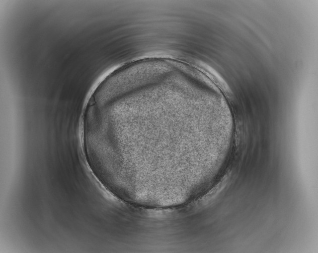 X0000112210804200908281459