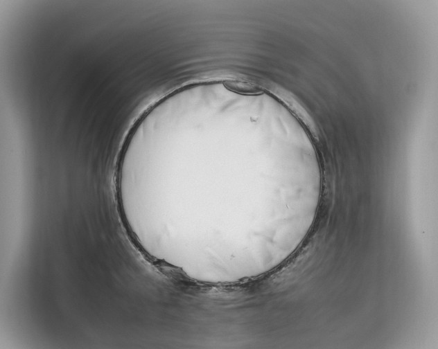 X0000112210805200908281459