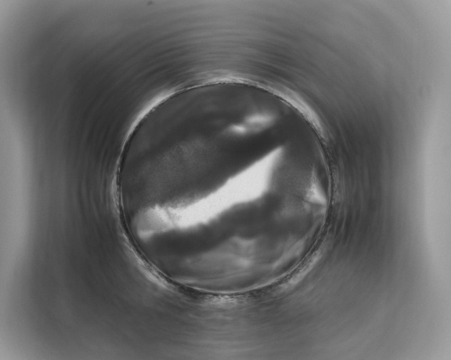 X0000112210806200908281458