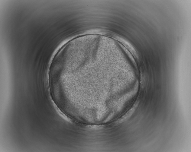 X0000112210808200908281458