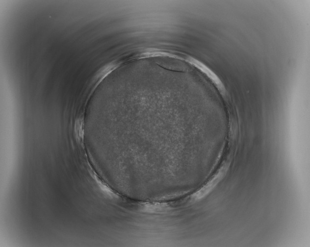 X0000112210809200908281458