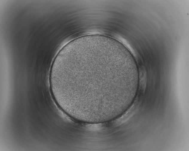 X0000112210810200908281458