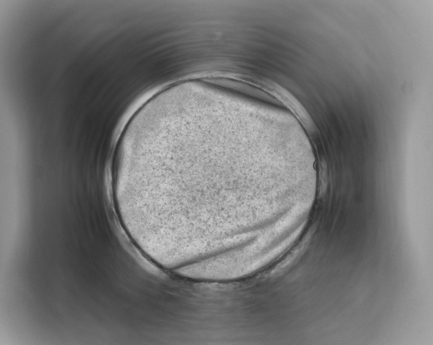 X0000112210812200908281458