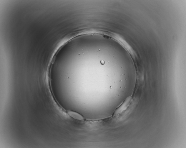 X0000112210813200908281458