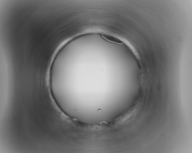 X0000112210815200908281458