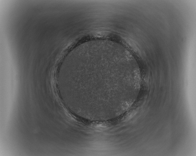 X0000112210817200908281458