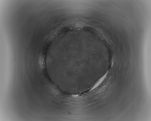 X0000112210818200908281458