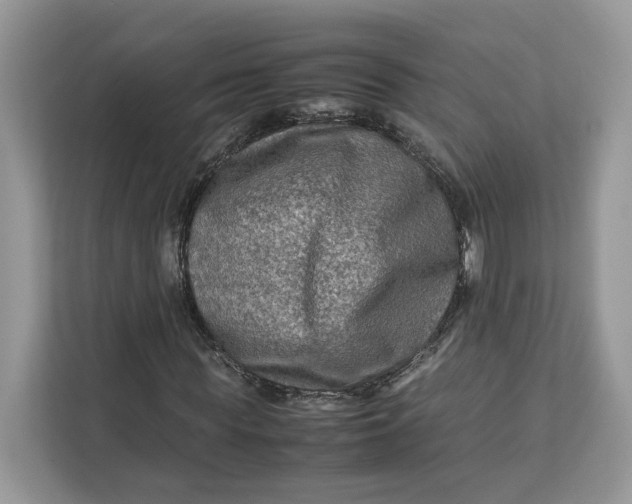 X0000112210819200908281458