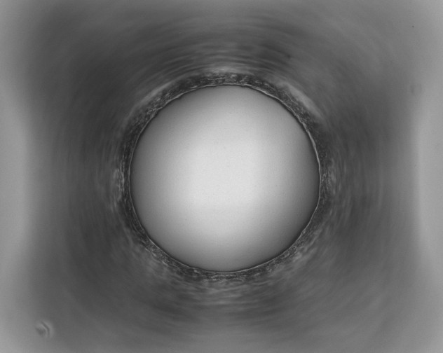 X0000112210821200908281458