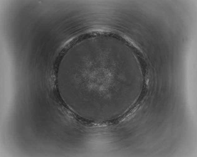 X0000112210822200908281458