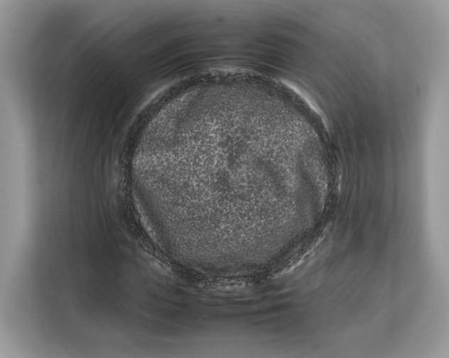 X0000112210823200908281458