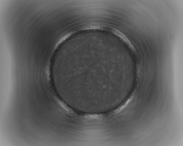 X0000112210826200908281458