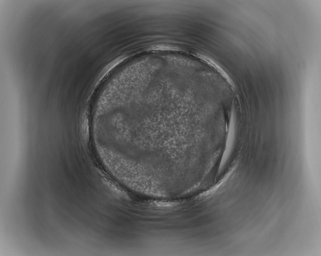 X0000112210829200908281458