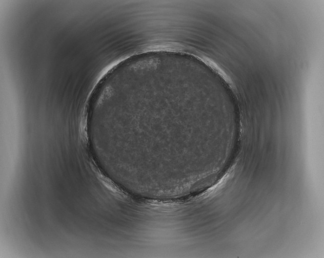 X0000112210830200908281458